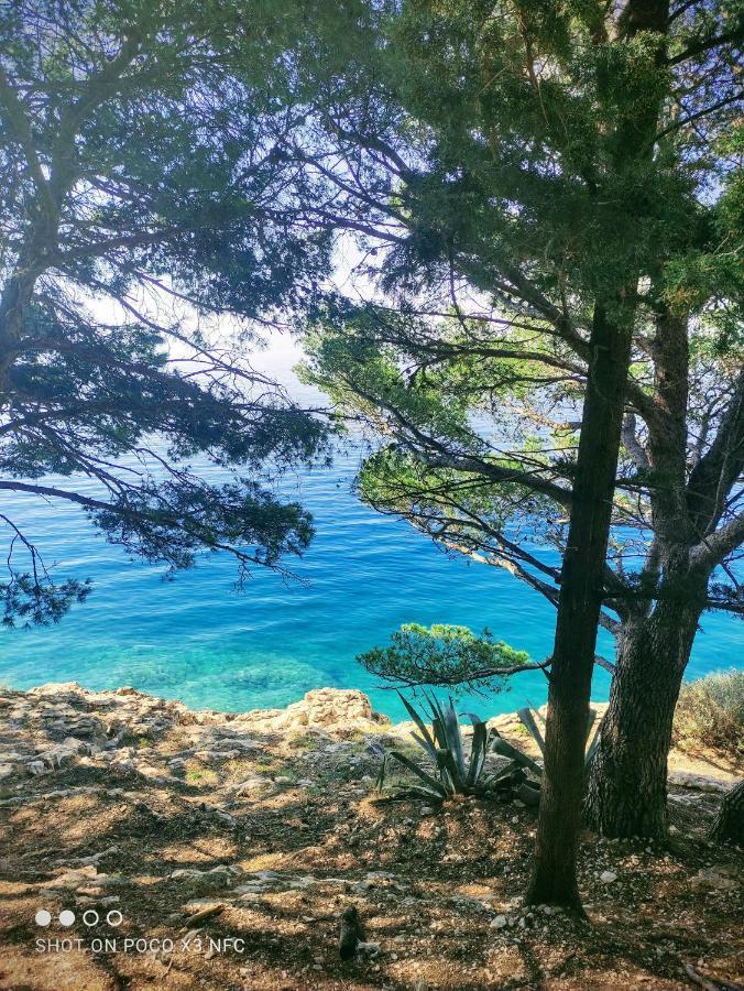 Villa Radic Μακάρσκα Εξωτερικό φωτογραφία